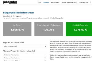 Bürgergeld-Bedarfsrechner Beispiel der Kosten